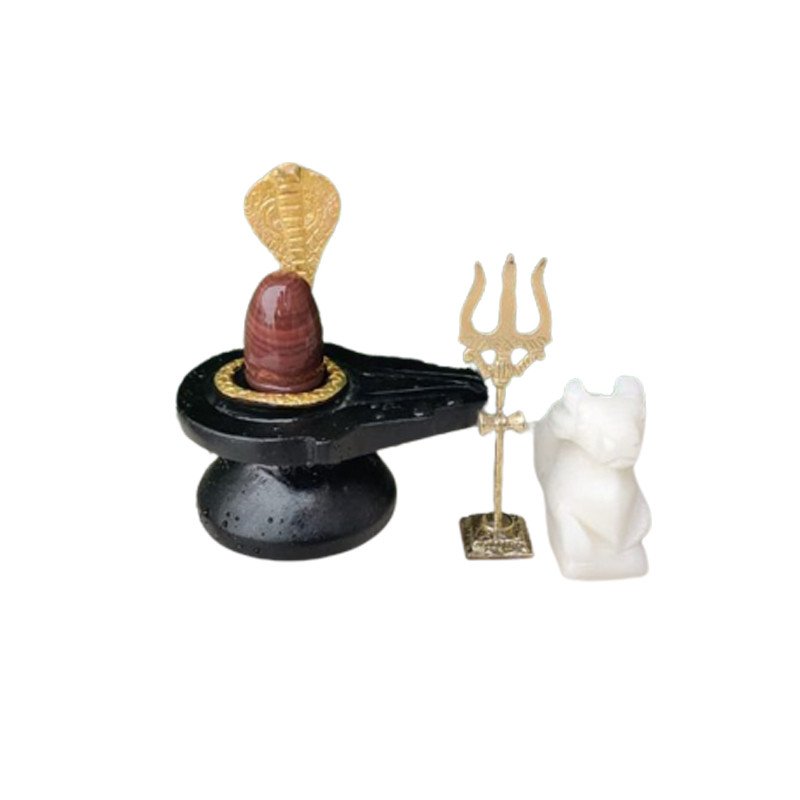 Shiv Narmadeshwar Shivling With Naag Trishul Tripai-Nandi For Home Puja Pack of 2