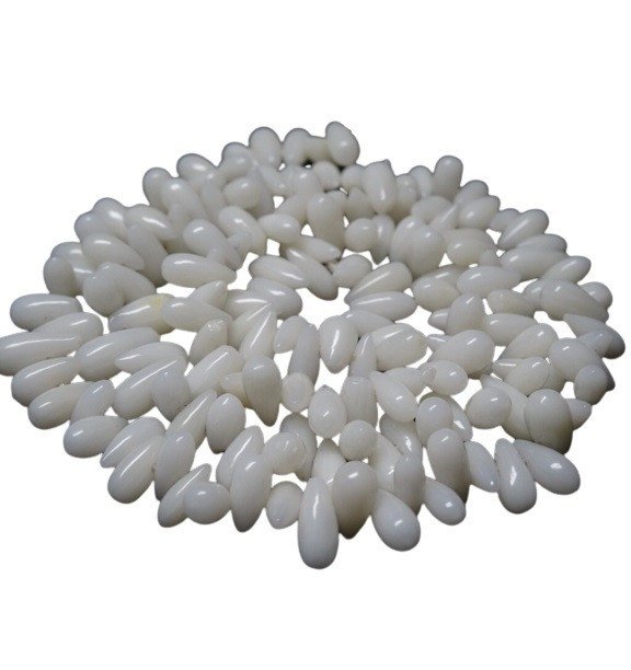 Natural White Coral (Moonga) (Indian Origin)