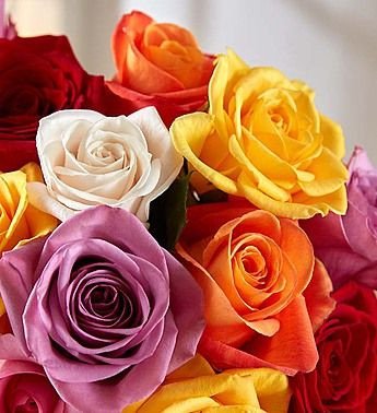 Flowers Assorted (Rose, Marigold etc...)